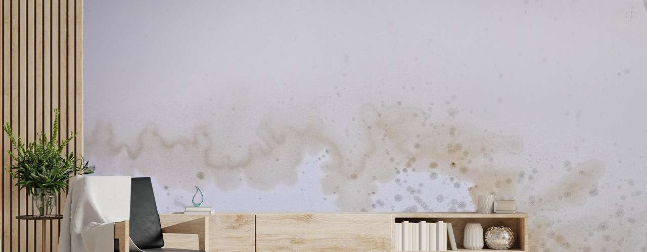 transform1.jpg transform1.jpg